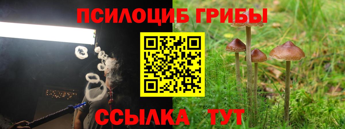 Галлюциногенные грибы ЛСД  Галлюциногенные грибы мицелий  Бугульма  Вход с VPN 